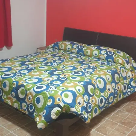 Nest Apartment