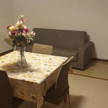 Nest Apartment