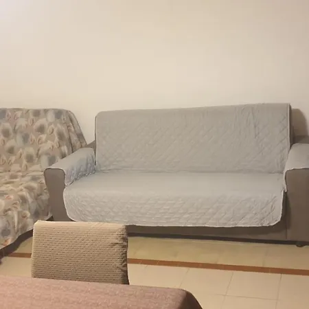 Apartment Nest