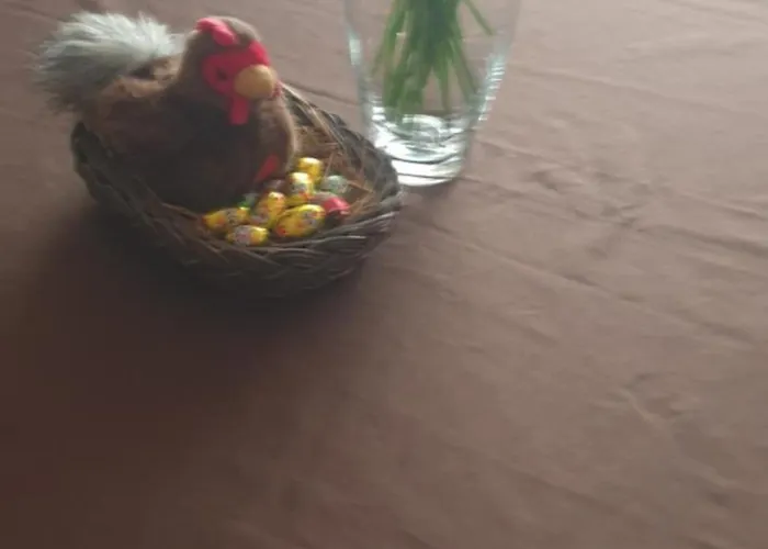 Nest